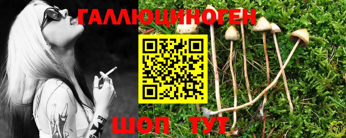 Псилоцибиновые грибы Psilocybe Нефтекамск